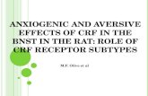 Anxiogenic and aversive effects of CRF in the BNST in the rat: role of CRF receptor subtypes