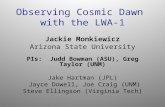 Observing Cosmic Dawn  with the LWA-1