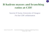 B hadron masses and branching ratios at CDF