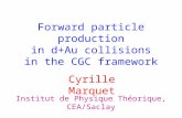 Forward particle production in d+Au collisions in the CGC framework