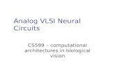 Analog VLSI Neural Circuits