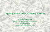 Tapping Into Other Funding Sources