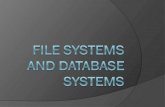 File Systems and Database Systems