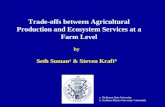Trade-offs between Agricultural Production and Ecosystem Services at a Farm Level