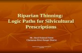 Riparian Thinning:  Logic Paths for Silvicultural Prescriptions