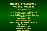 Energy Efficiency: Policy Puzzles