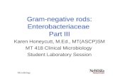 Gram-negative rods: Enterobacteriaceae  Part III