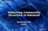 Detecting Community Structure in Network
