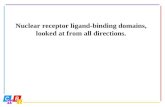 Nuclear receptor ligand-binding domains, looked at from all directions.