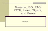 Transco, ISO, RTO, LTTR, Lions, Tigers, and Bears