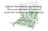 Square foot/meter gardening :  Micro-production of food and herbs for underserved populations