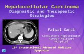 Hepatocellular Carcinoma Diagnostic and Therapeutic Strategies