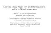Actinide Metal Atom (Th and U) Reactions to Form Novel Molecules