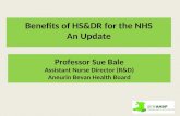 Professor Sue Bale Assistant Nurse Director (R&D) Aneurin Bevan Health Board