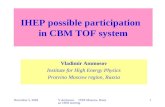 IHEP possible participation   in CBM TOF system