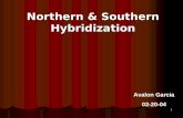 Northern & Southern Hybridization