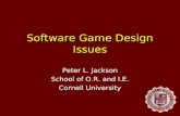 Software Game Design Issues