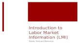 Introduction to Labor Market Information (LMI)