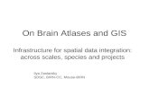 On Brain Atlases and GIS
