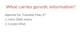 What carries genetic information?