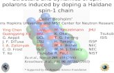 Structure and dynamics of spin polarons induced by doping a Haldane spin-1 chain