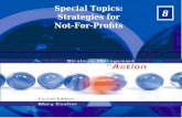 Special Topics: Strategies for Not-For-Profits