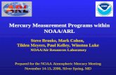 Mercury Measurement Programs within NOAA/ARL