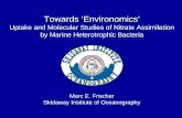 Towards ‘Environomics’ Uptake and Molecular Studies of Nitrate Assimilation