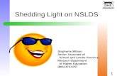 Shedding Light on NSLDS