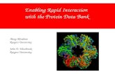Enabling Rapid Interaction   with the Protein Data Bank