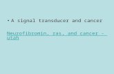 A signal transducer and cancer Neurofibromin ,  ras , and cancer -  utah