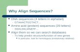 Why Align Sequences?
