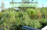 Ecosystem Metabolism 1:   Primary Production