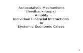 Autocatalytic Mechanisms (feedback-loops)  Amplify Individual Financial Interactions  to