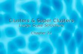 Clusters & Super Clusters Large  Scale  Structure