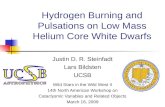Hydrogen Burning and Pulsations on Low Mass Helium Core White Dwarfs
