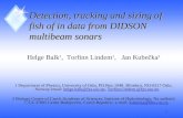 Detection, tracking and sizing of fish of in data from DIDSON  multibeam sonars