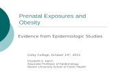 Prenatal Exposures and Obesity