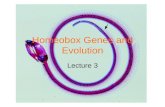 Homeobox Genes and Evolution