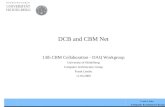 DCB and CBM Net 13th CBM Collaboration - DAQ Workgroup University of Heidelberg