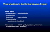 Virus Infections in the Central Nervous System