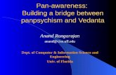Pan-awareness:  Building a bridge between panpsychism and Vedanta