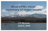 What CPRs show:  summary of major issues