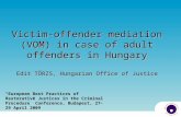 Victim-offender mediation (VOM) in case of adult offenders in Hungary