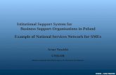 Istitutional Support System for                           Business Support Organisations in Poland