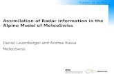 Assimilation of Radar Information in the  Alpine Model of MeteoSwiss