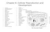Chapter 8- Cellular Reproduction and Development