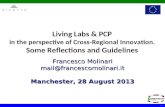 Living Labs & PCP in the perspective of Cross-Regional Innovation. Some Reflections and Guidelines