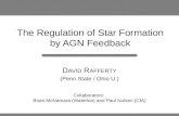 The Regulation of Star Formation by AGN Feedback