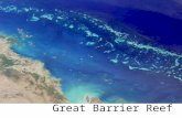 Great Barrier  Reef